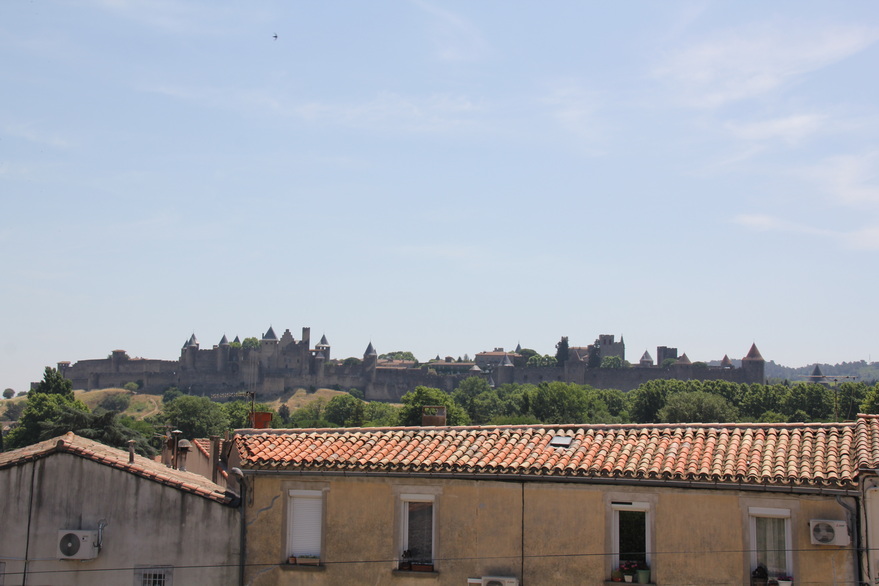 IMG_3836_2.JPG