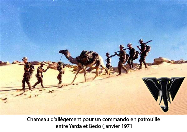 Chameau d\'allègement pour un commando en patrouille entre Yarda et Bedo (janvier 1971